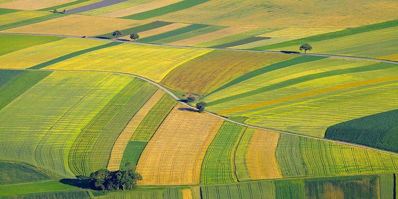 Biens Ruraux Terres Agricoles Le Role Des Safer Renforce