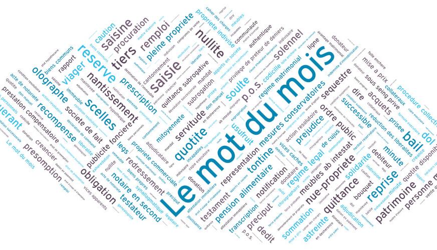 Le mot du mois : l'inventaire